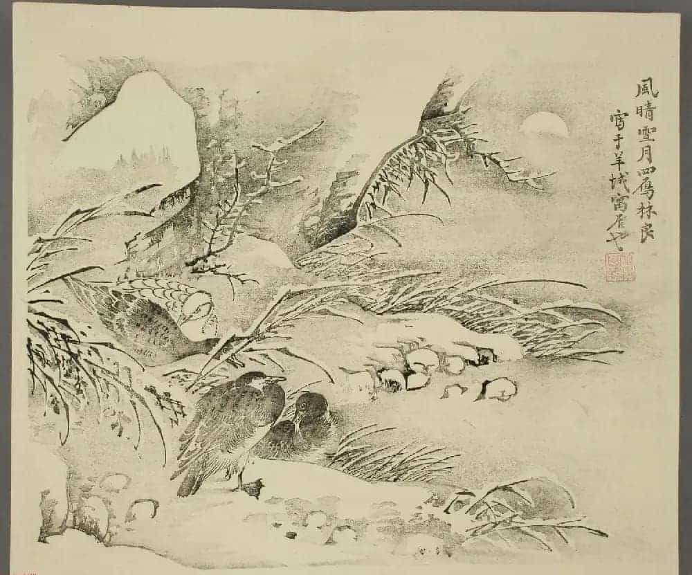 日本竹洞花鸟画欣赏《融斋画谱》_第7张