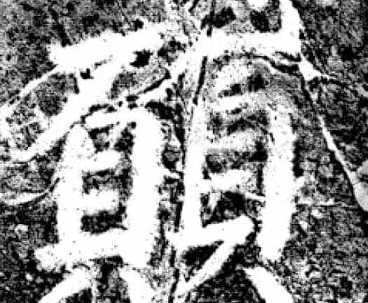 唐代颜真卿69岁楷书《西亭记》残碑_第34张