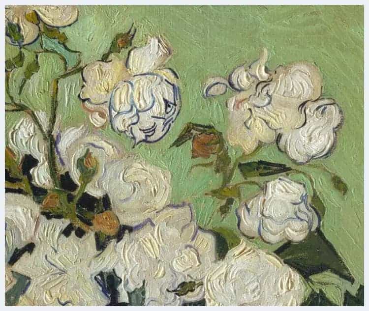 梵高《瓶中薔薇》欣赏_第5张