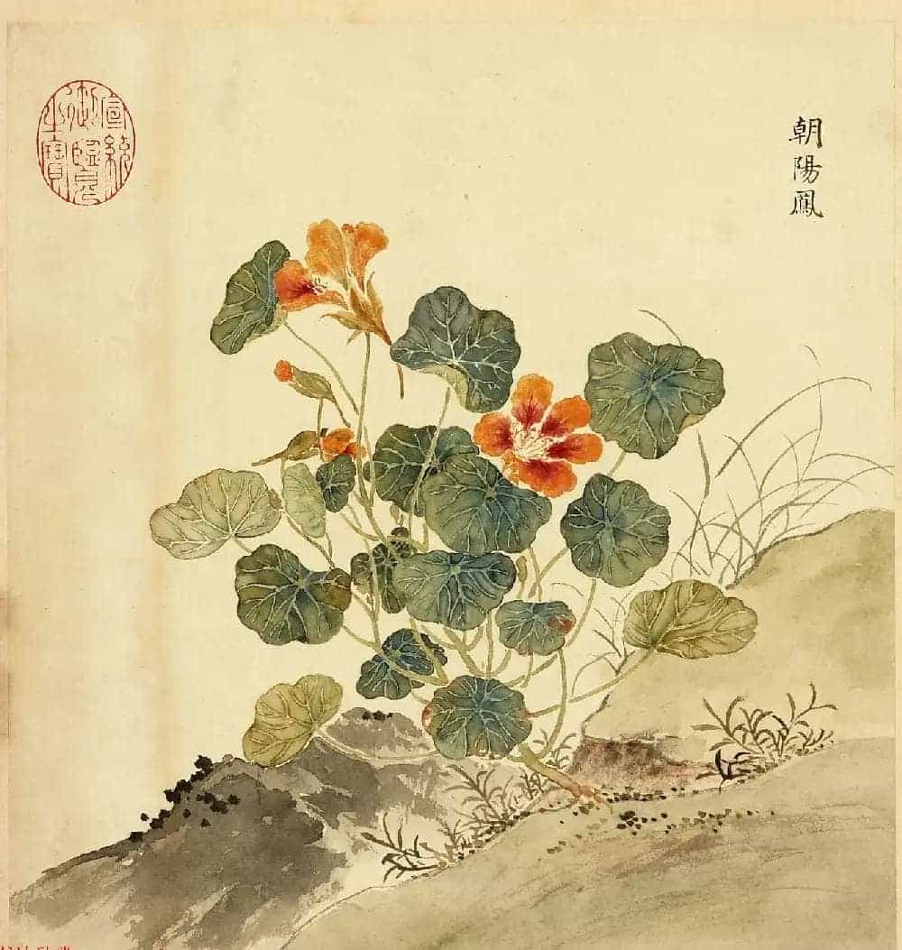 传世字画册页《海西杂卉》余省绘画+于敏中书法_第1张