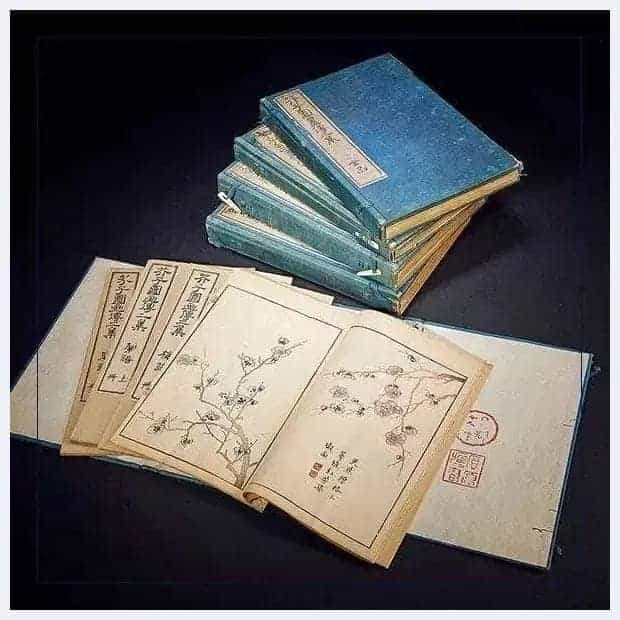 《芥子园画谱》中国画的绘画圣经！_第3张