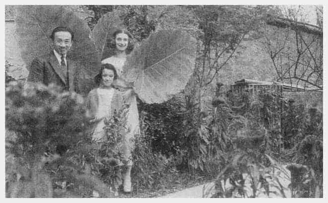 林风眠:九岁就卖出了人生第一幅画_第10张