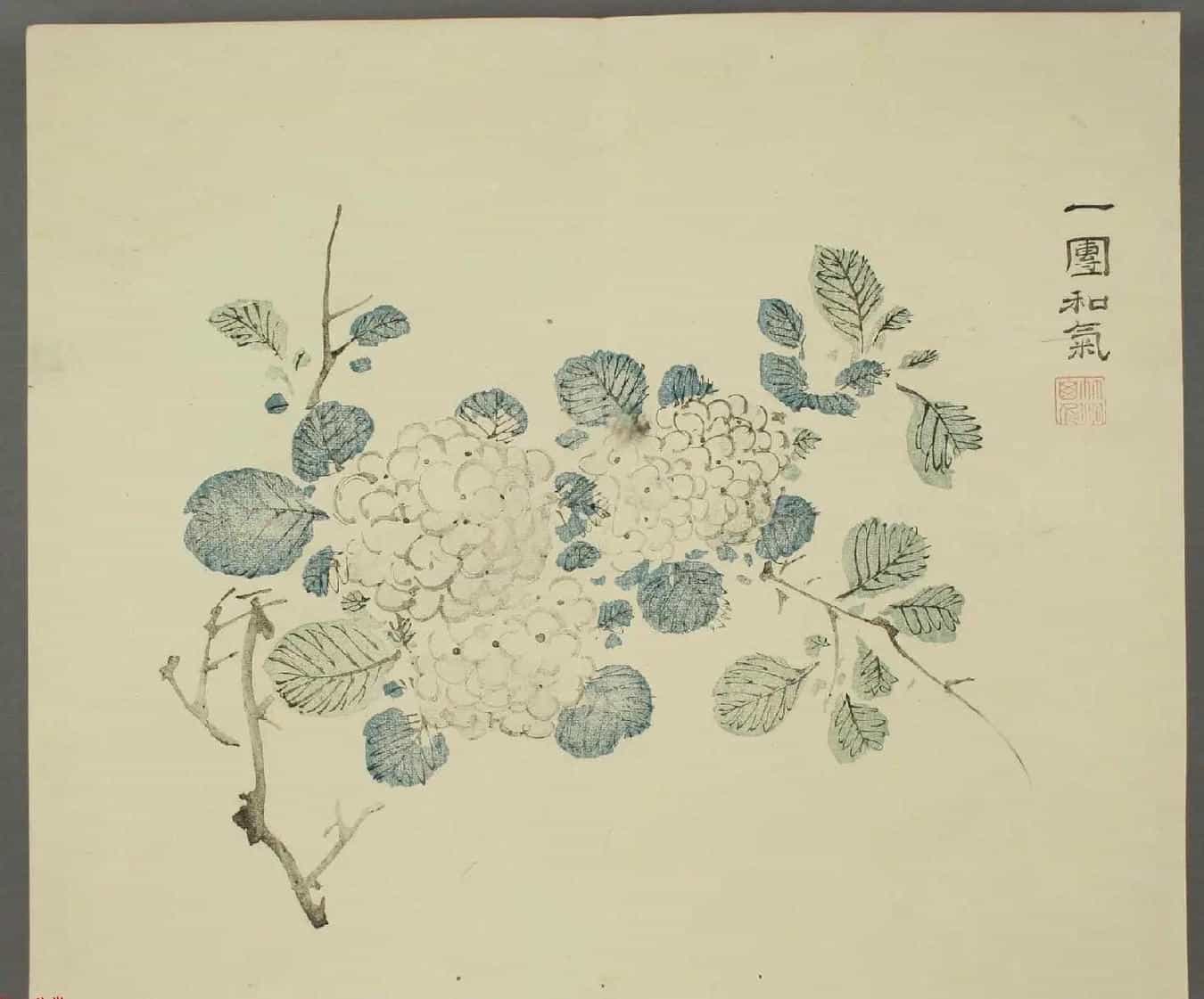 日本竹洞花鸟画欣赏《融斋画谱》_第18张