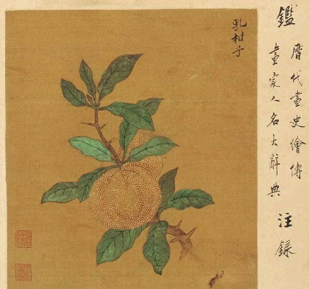 周淑禧、周淑祜两姐妹小楷《本草图》四条屏_第2张