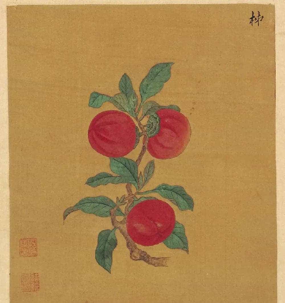 周淑禧、周淑祜两姐妹小楷《本草图》四条屏_第12张