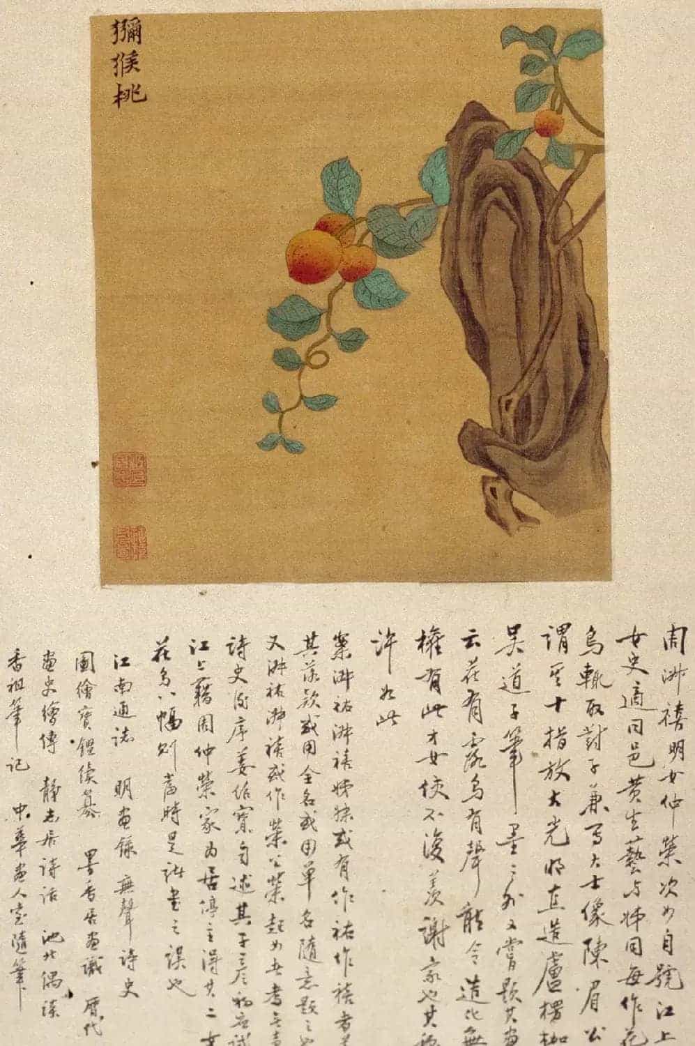 周淑禧、周淑祜两姐妹小楷《本草图》四条屏_第5张